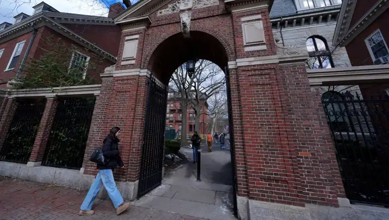 Harvard Profesörleri, Trump Yönetimini Tarihi Bir Davayla Zor Duruma Soktu