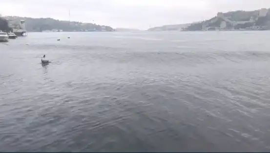 İstanbul'u Sarsan Deprem: 6,2 Büyüklüğünde Sarsıntılar ve Yükselen Dalgalar