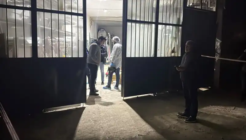 İş Yerinde Korkunç Cinayet: Gerçekler ve Şok Edici Detaylar