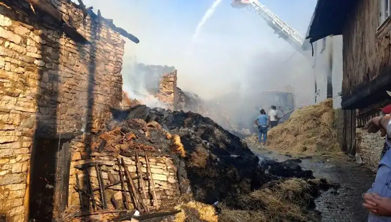 Köyde Yangın Faciası: 4 Ev Kül Oldu, Birçok Aile Evsiz Kaldı