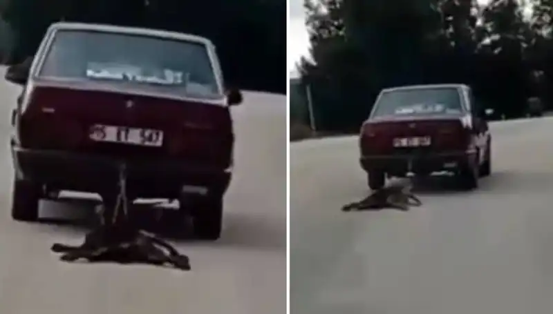 Otomobilin Arkasına Bağlı Köpeği Sürükledi: Şok Edici Olay!