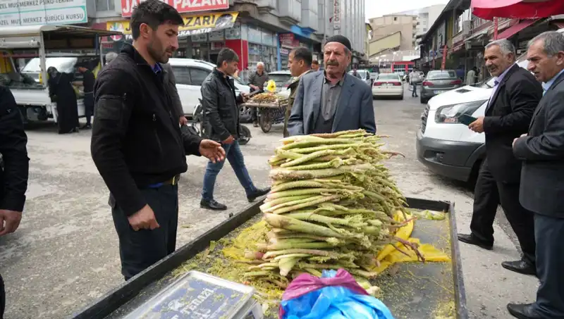Dağlardan Gelen Şeker: Kanser ve Mide Hastalıklarına İyi Gelen Doğal Bir Mucize