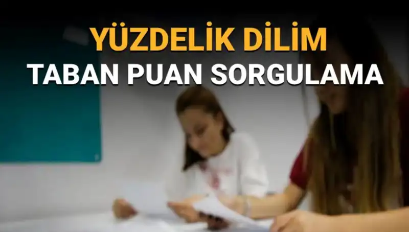 LGS 2025 Taban Puanları ve Yüzdelik Dilim Sorgulamanız İçin Rehber