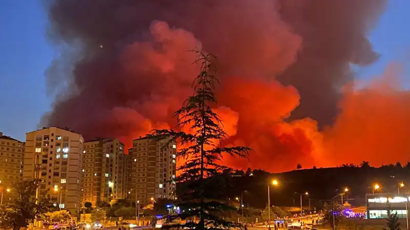 Bursa'da Yangın İhbarları Artıyor: Şehirdeki Durum Nedir?