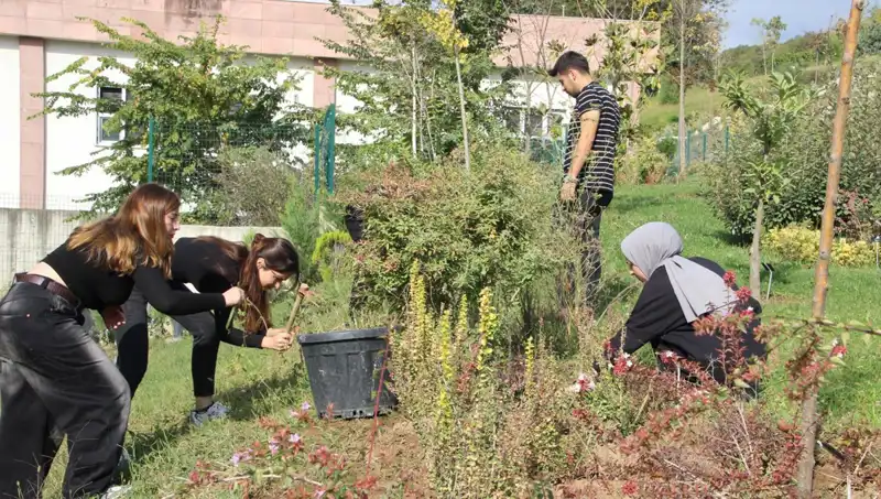 Düzce'nin Gururu: Kültürel Miras Hayalde Buluştu!