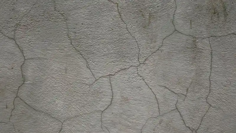 Çağımızın Mucizesi: Canlı Beton ile Çatlaklar Artık Sorun Olmayacak