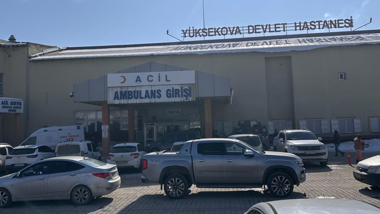 Müfettiş Köpek Saldırısıyla Ölen Çocuk Olayını İnceleyecek