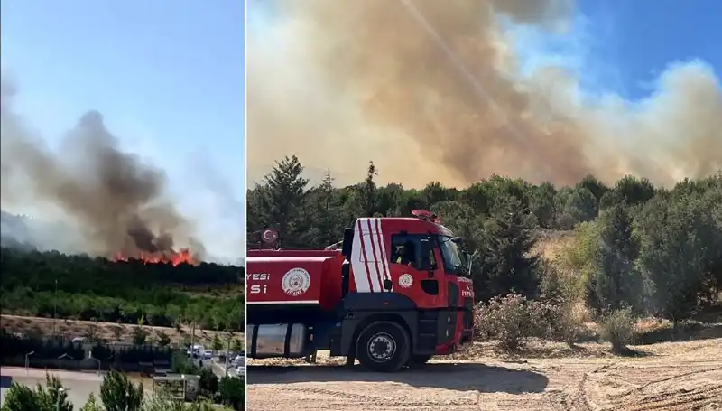 Gebze'deki Orman Yangını: Alevler Kenti Sarmaladı