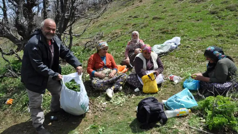 Yürüyerek Topladıkları Gıda ile Ailelerine Destek Oluyorlar