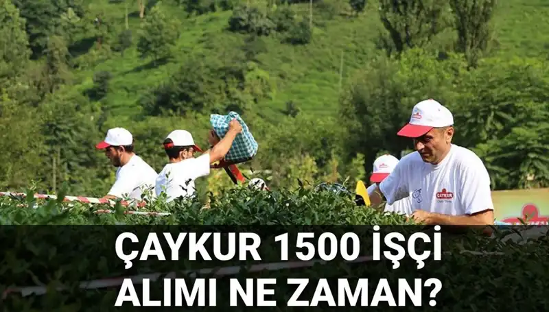 Çaykur İşçi Alımı İçin Tarihler ve Detaylar Açıklandı!