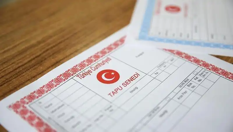 Hisseli Tapu Tuzağı: 100 Milyonluk Dolandırıcılık Ağı Çözüldü!