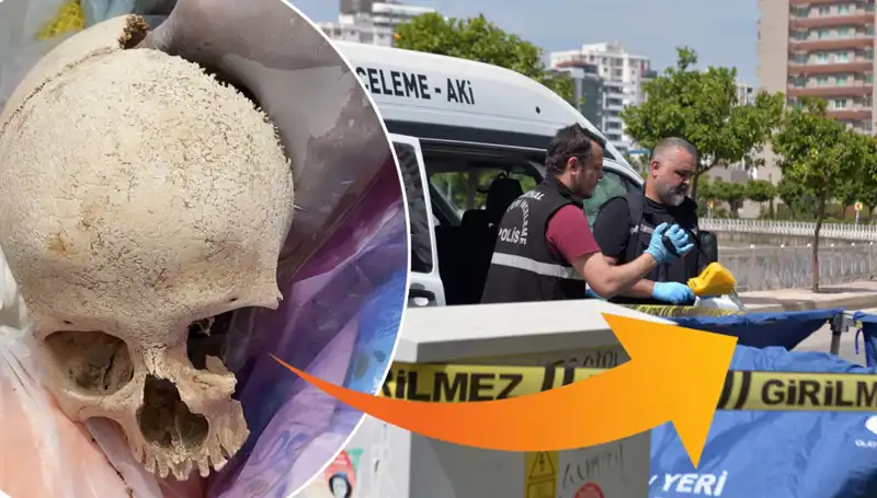 Sitenin Çöpünden Çıkan Kafatasının Gizemi Çözüldü: Uzman Doktor Gözaltında!