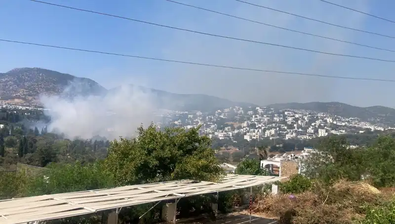 Muğla’daki Yangınlar Sonunda Kontrol Altına Alındı: Doğa Yeniden Hayat Bulacak