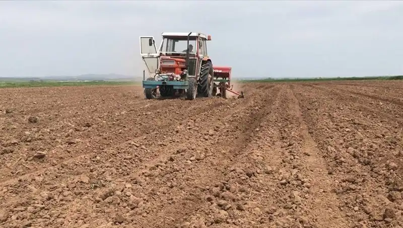 Son 35 Yılda Görülen En Kurak Mart Ayı: Yağış Miktarında Tüm Zamanların Rekoru