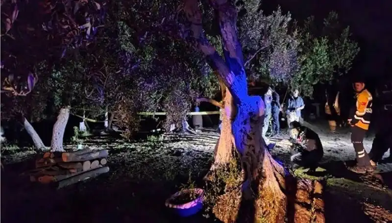 Çiftlikteki Baltalı Vahşet Olayında Şok Tutuklama