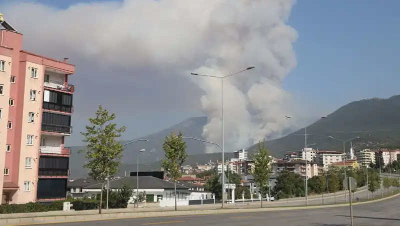 Denizli'de Orman Yangını: Şüpheli Gözaltına Alındı, Yangının Sebepleri Araştırılıyor