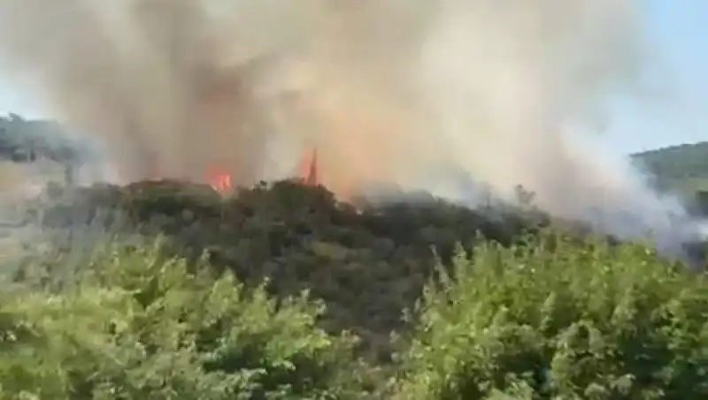 İstanbul'un Kalbinde Orman Yangını: Acil Tahliye Süreci Başladı!