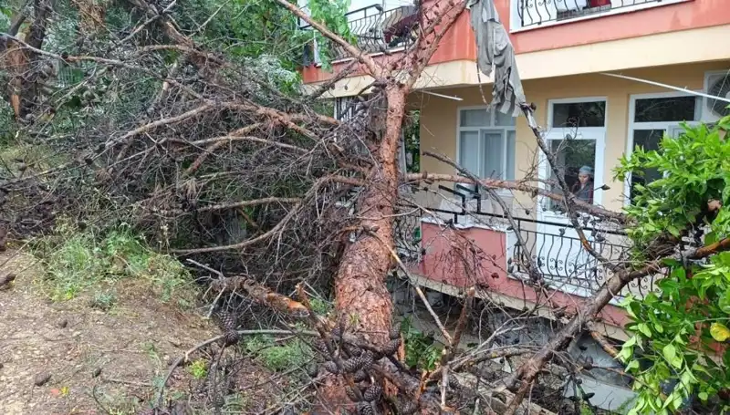 Yağmur Sonrası Şok Gelişme: Bina Devrildi, Hayatlar Tehlikede!